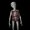 Distortions "Alien Autopsy" Sci-Fi Prop -Halloween Horror Decorations Shop alien autopsy sci fi prop 28733757358128