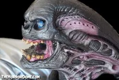 The Horror Dome "Alien Xenomorph Puppet" HD Studios Halloween Prop -Halloween Horror Decorations Shop alien xenomorph puppet hd studios halloween prop 14920397029424