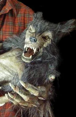 The Horror Dome "Baby Werewolf Puppet" HD Studios Halloween Prop -Halloween Horror Decorations Shop baby werewolf puppet hd studios halloween prop 14159829270576