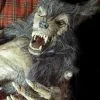The Horror Dome "Baby Werewolf Puppet" HD Studios Halloween Prop -Halloween Horror Decorations Shop baby werewolf puppet hd studios halloween prop 14159860629552