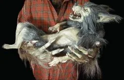 The Horror Dome "Baby Werewolf Puppet" HD Studios Halloween Prop -Halloween Horror Decorations Shop baby werewolf puppet hd studios halloween prop 8671037569