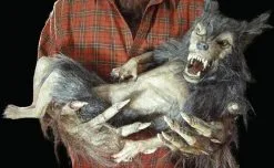 The Horror Dome "Baby Werewolf Puppet" HD Studios Halloween Prop -Halloween Horror Decorations Shop baby werewolf puppet hd studios halloween prop 8671039169