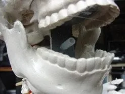 DC PROPS "Barrel Spitter Skeleton" Halloween Animatronic 9 DC PROPS "Barrel Spitter Skeleton" Halloween Animatronic -Halloween Horror Decorations Shop barrel spitter skeleton halloween animatronic 8671147137