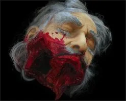 The Horror Dome "Big Mouth Severed Head" HD Studios Bloody Halloween Prop 9 The Horror Dome "Big Mouth Severed Head" HD Studios Bloody Halloween Prop -Halloween Horror Decorations Shop big mouth severed head hd studios bloody halloween prop 8671215041