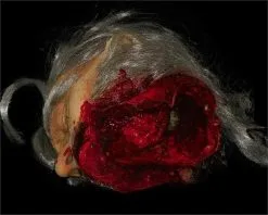 The Horror Dome "Big Mouth Severed Head" HD Studios Bloody Halloween Prop 10 The Horror Dome "Big Mouth Severed Head" HD Studios Bloody Halloween Prop -Halloween Horror Decorations Shop big mouth severed head hd studios bloody halloween prop 8671217409