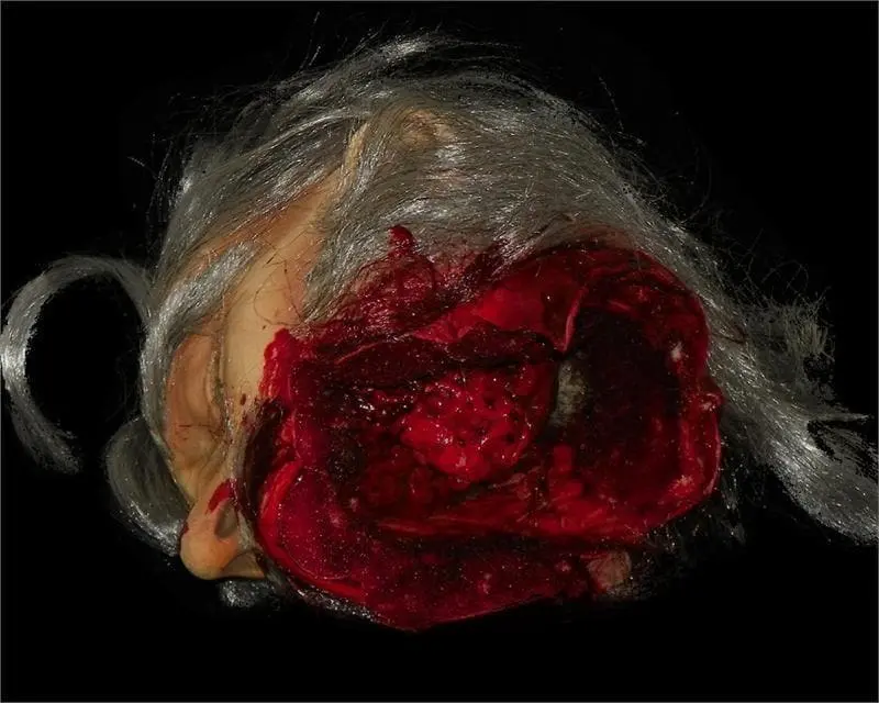 The Horror Dome "Big Mouth Severed Head" HD Studios Bloody Halloween Prop 6 The Horror Dome "Big Mouth Severed Head" HD Studios Bloody Halloween Prop - Image 4