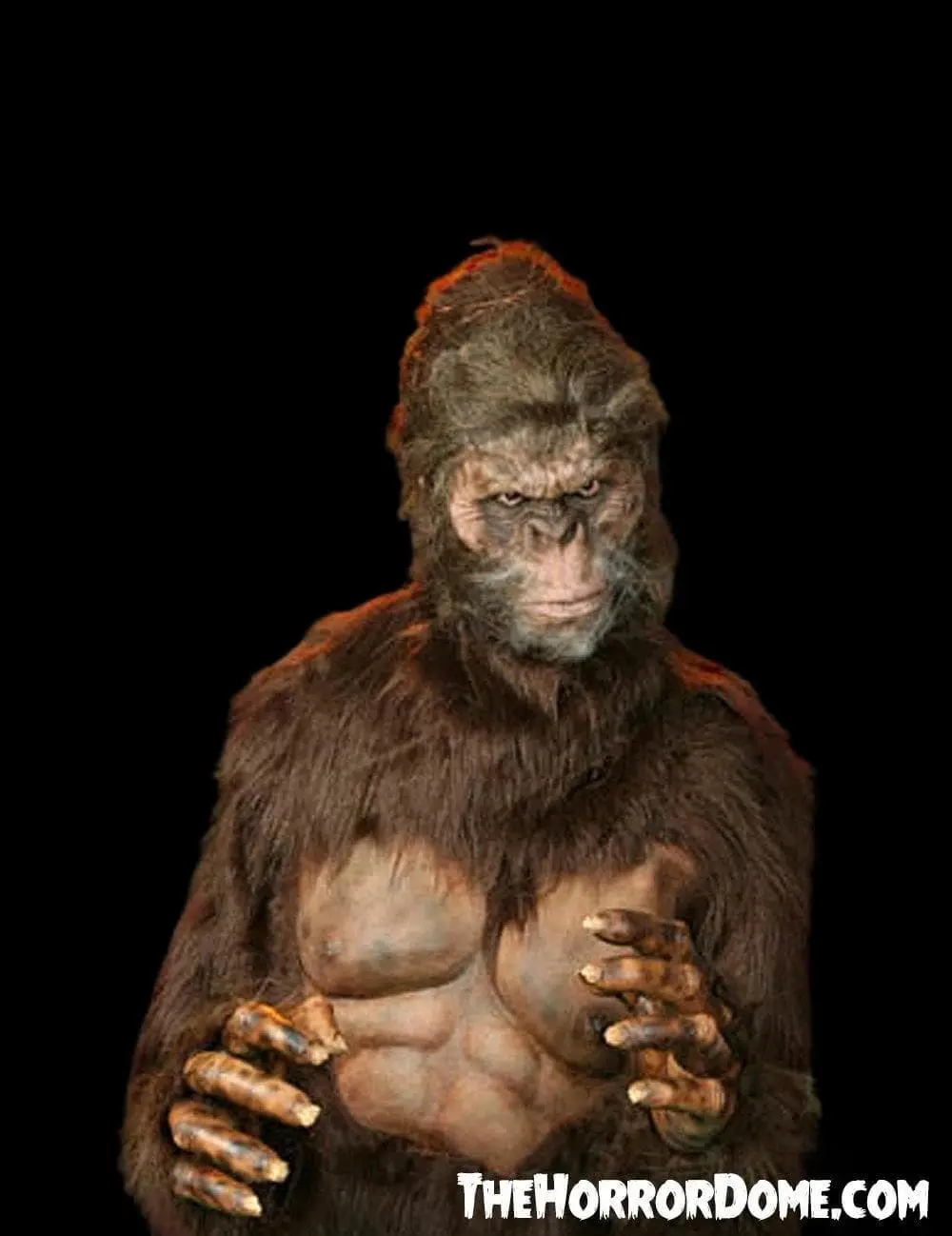 The Horror Dome "Bigfoot" HD Studios Pro Costume 4 The Horror Dome "Bigfoot" HD Studios Pro Costume - Image 2