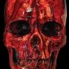 Morris "Bloody Resin Skull" Halloween Prop