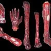 Morris Package Deals "Burnt Body Parts" Gory Halloween Props - Package Deal -Halloween Horror Decorations Shop burnt body parts gory halloween props package deal 3762053054512