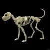 Morris Buster Bonez Dog Skeleton Halloween Prop -Halloween Horror Decorations Shop buster bonez dog skeleton halloween prop 30408506277936