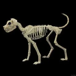Morris Buster Bonez Dog Skeleton Halloween Prop