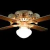 Skeletons And More "Ceiling Fan With 8 Small Skulls And Light" Haunted House Lighting 1 Skeletons And More "Ceiling Fan With 8 Small Skulls And Light" Haunted House Lighting -Halloween Horror Decorations Shop ceiling fan with 8 small skulls and light haunted house lighting 14370646851632