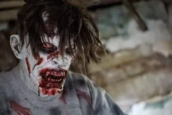 The Horror Dome "Cellar Dweller" HD Studios Pro Mask 14 The Horror Dome "Cellar Dweller" HD Studios Pro Mask -Halloween Horror Decorations Shop cellar dweller hd studios pro halloween mask 12778402676784