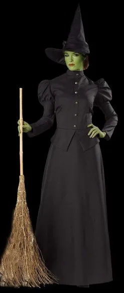 Morris "Classic Witch" Deluxe Costume