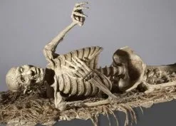 DC PROPS "Corpse Reacher/Trap Door Popper Combo" Skeleton Halloween Animatronic -Halloween Horror Decorations Shop corpse reacher trap door popper combo skeleton halloween animatronic 8671651777