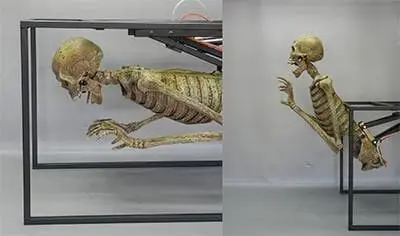 DC PROPS "Crypt Dweller" Skeleton Halloween Animatronic 4 DC PROPS "Crypt Dweller" Skeleton Halloween Animatronic - Image 2