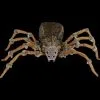 Morris "Deluxe Light-Up Wolf Spider" Halloween Prop -Halloween Horror Decorations Shop deluxe light up wolf spider halloween prop 30397832593456