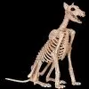 Morris Doberman Skeleton Dog Skeleton Halloween Prop