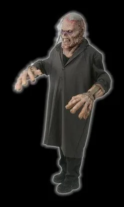 The Horror Dome "Frankenstein The Creature" HD Studios Costume