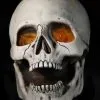 Distortions Giant Skull -Halloween Horror Decorations Shop giant skull 28427998724144