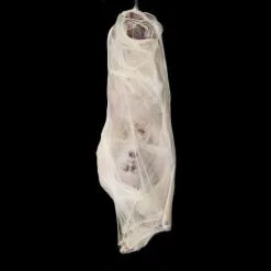 The Horror Dome "Graveyard" Halloween Props - Package Deal -Halloween Horror Decorations Shop graveyard halloween props package deal 6927438381104