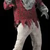 Morris "Grey Werewolf" Costume (Adult Size)