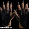 The Horror Dome Monster Hands With Black Hair - HD Studios