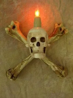 The Horror Dome "Haunted Hallway" Haunted House Props - Package Deal -Halloween Horror Decorations Shop haunted hallway haunted house props package deal 6927041232944