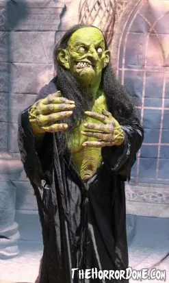 The Horror Dome "Helga The Witch" HD Studios Pro Costume -Halloween Horror Decorations Shop helga the witch hd studios pro halloween costume 12382259201