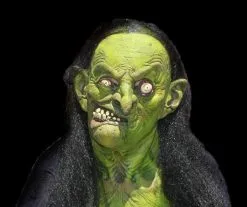 The Horror Dome "Helga The Witch" HD Studios Pro Costume -Halloween Horror Decorations Shop helga the witch hd studios pro halloween costume 14102829367344