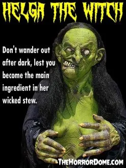 The Horror Dome "Helga The Witch" HD Studios Pro Costume -Halloween Horror Decorations Shop helga the witch hd studios pro halloween costume 14327608213552