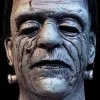 Morris "House Of Frankenstein" Mask
