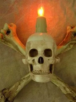 Skeletons And More "Humerus Bone Wall Sconce With 3 Inch Skull" Haunted House Lighting -Halloween Horror Decorations Shop humerus bone wall sconce with 3 inch skull haunted house lighting 23613182977