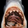 Morris "Jaws - Bruce The Shark" Mask