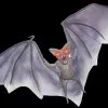 Morris "Light Up Demon Bat" Halloween Animal Prop