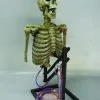 DC PROPS "Mini Popper" Skeleton Halloween Animatronic
