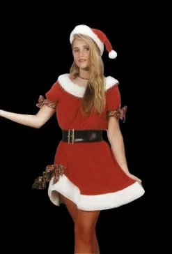 Morris "Ms. Santa" Costume (Adult Small)
