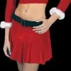 Morris "Ms. Santa - Sexy" Costume