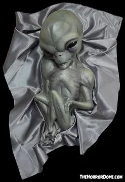 The Horror Dome "Roswell Alien Baby Crash Victim" HD Exclusive Halloween Decoration -Halloween Horror Decorations Shop new for 2022 roswell alien baby crash victim hd exclusive halloween decoration 30106370048048