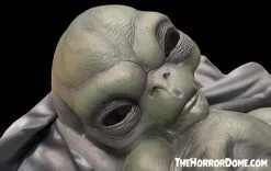 The Horror Dome "Roswell Alien Baby Crash Victim" HD Exclusive Halloween Decoration -Halloween Horror Decorations Shop new for 2022 roswell alien baby crash victim hd exclusive halloween decoration 30106412580912