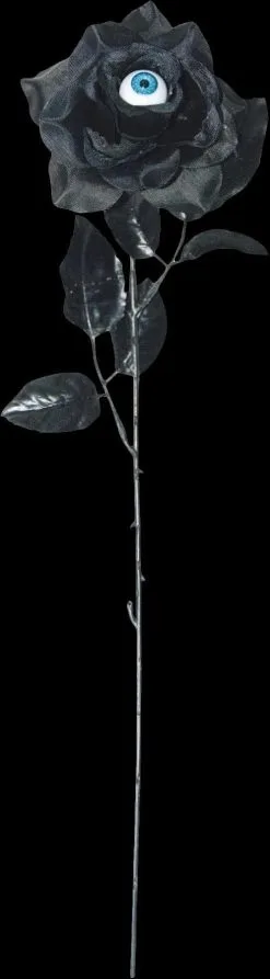Morris "One Dozen Black Roses With Eyes" Halloween Accessory Prop