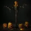 Distortions "Pumpkin Patch Combo" Animated Halloween Props - Package Deal