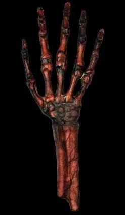 Morris "Rotted Hand - Flesh And Bone" Human Body Part Halloween Prop