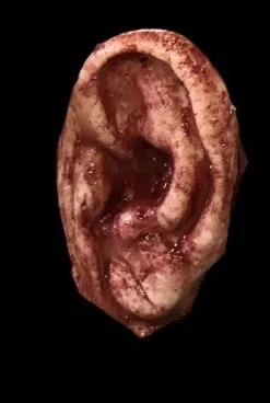 SpellBound FX And Art "Severed Ear" Halloween Prop