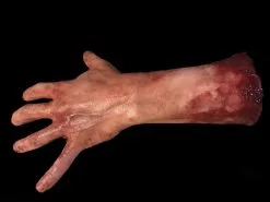 SpellBound FX And Art "Severed Left Male Hand - Silicone" Human Body Part Halloween Prop