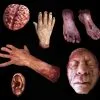SpellBound FX And Art "Silicone Body Parts" Gory Halloween Props- Package Deal -Halloween Horror Decorations Shop silicone body parts gory halloween props package deal 28745784852528