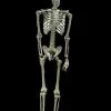 Morris "Skeleton" Hanging Halloween Prop - 60" 1 Morris "Skeleton" Hanging Halloween Prop - 60" -Halloween Horror Decorations Shop skeleton hanging halloween prop 60 14320996483120