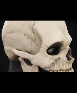 CFX "Skull Hood" Silicone Mask -Halloween Horror Decorations Shop skull hood silicone halloween mask 20360423169