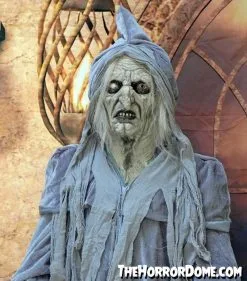 The Horror Dome "Swamp Hag" HD Studios Costume -Halloween Horror Decorations Shop swamp hag hd studios costume 30783287164976