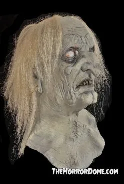 The Horror Dome "Swamp Hag" HD Studios Pro Mask 6 The Horror Dome "Swamp Hag" HD Studios Pro Mask -Halloween Horror Decorations Shop swamp hag hd studios pro mask 30783209865264